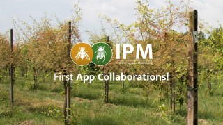 Emerging Collaborations in the IPM Citizen Science App