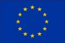 EU Flag