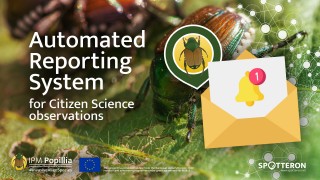 Automated reporting of Japanese beetle observations to national authorities within the IPM Popillia Citizen Science App
