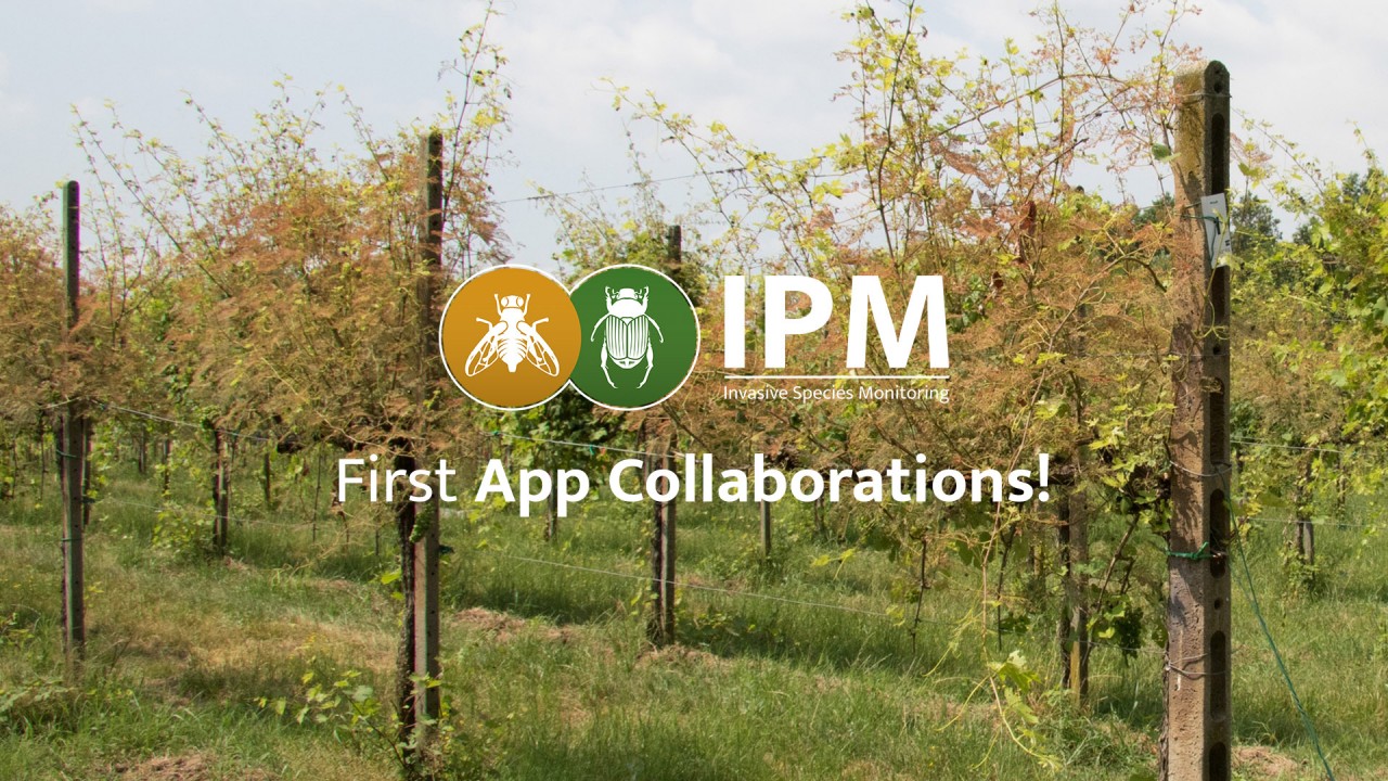 First IPM Citizen Science App Collaborations