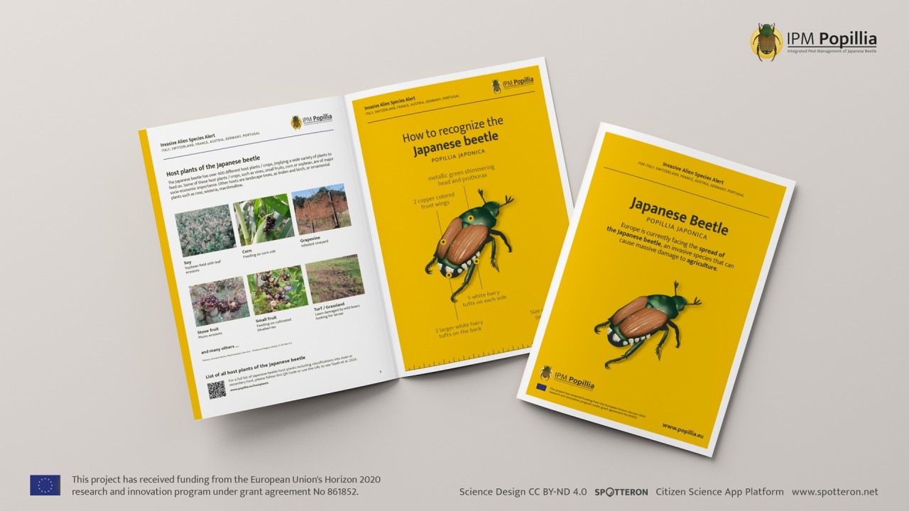 IPM_InfoSheet_Mockup01_HD