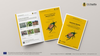 Citizen Science Dissemination for Popillia japonica