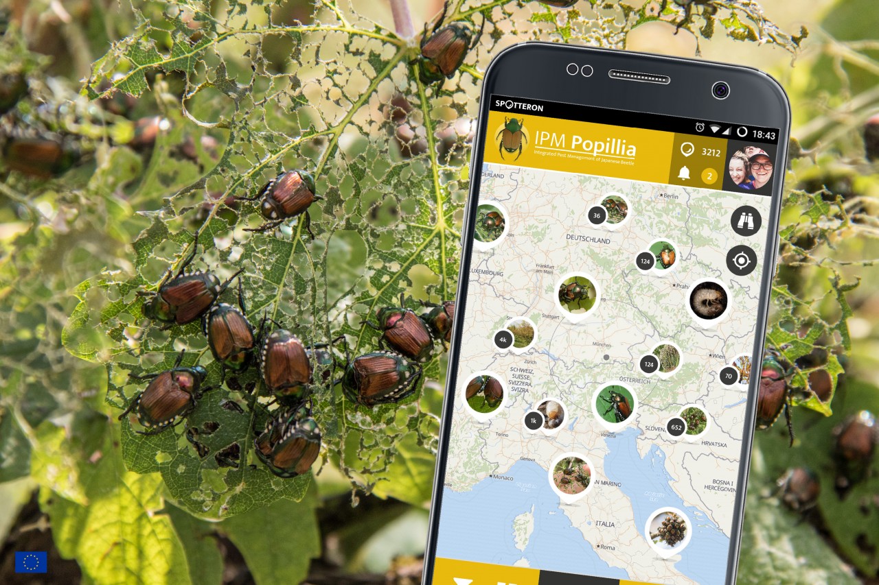 Preview Mockup of a IPM Popillia Citizen Science App