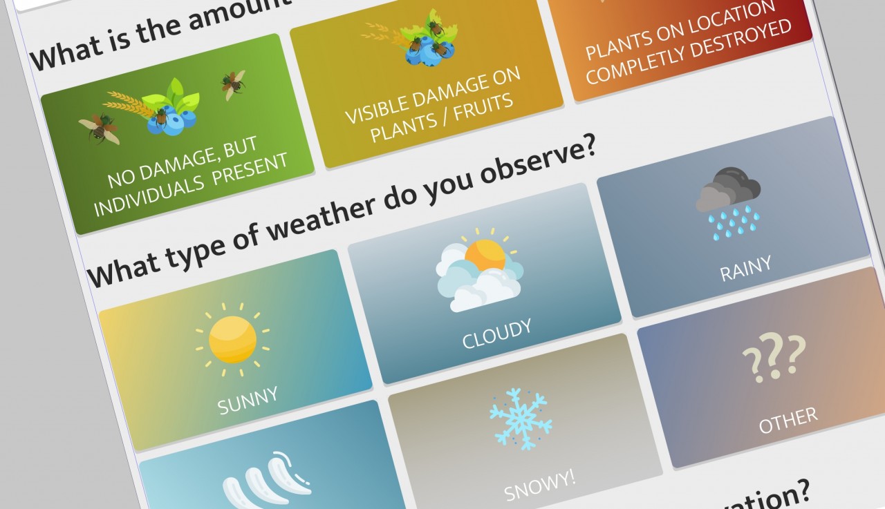 Design process of IPM Popilla Citizen Science App