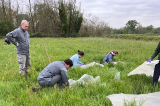 Field work for an economist