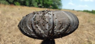 Testing long-lasting insecticide-treated nets