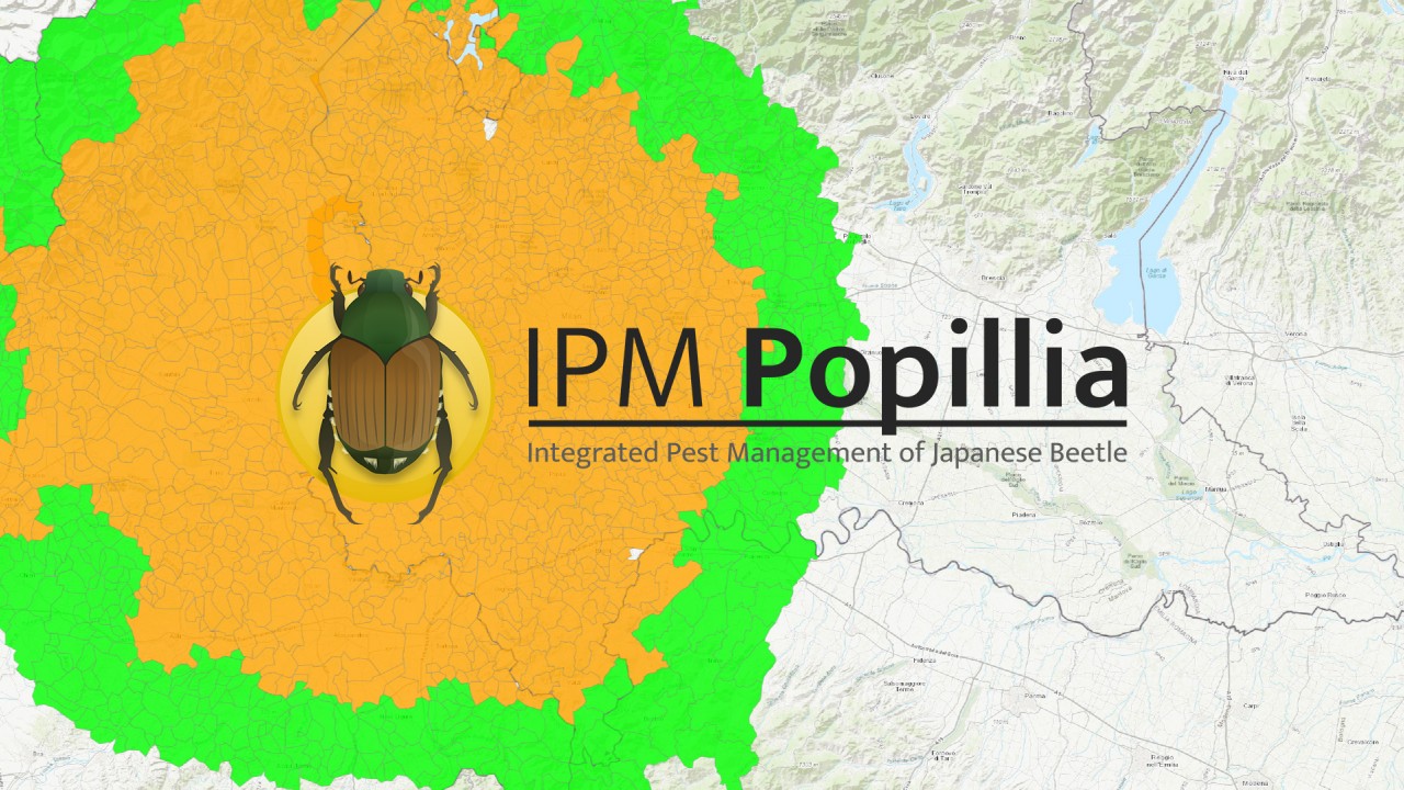 IPM Popillia Map
