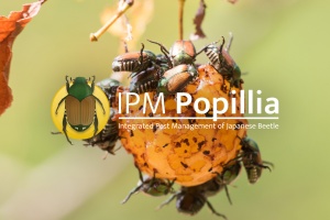 Co-Use of the IPM App
